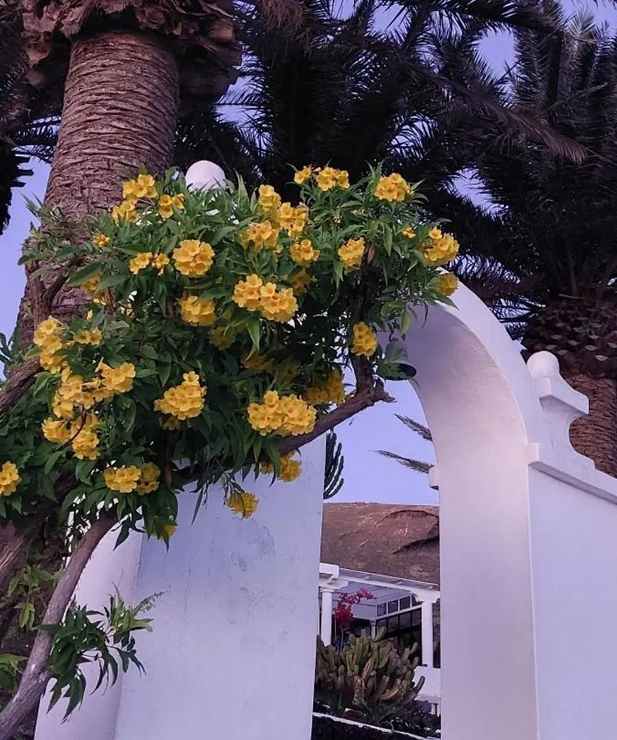 La Ranita 2 Empireo Villa La Asomada  La Asomada (Lanzarote)